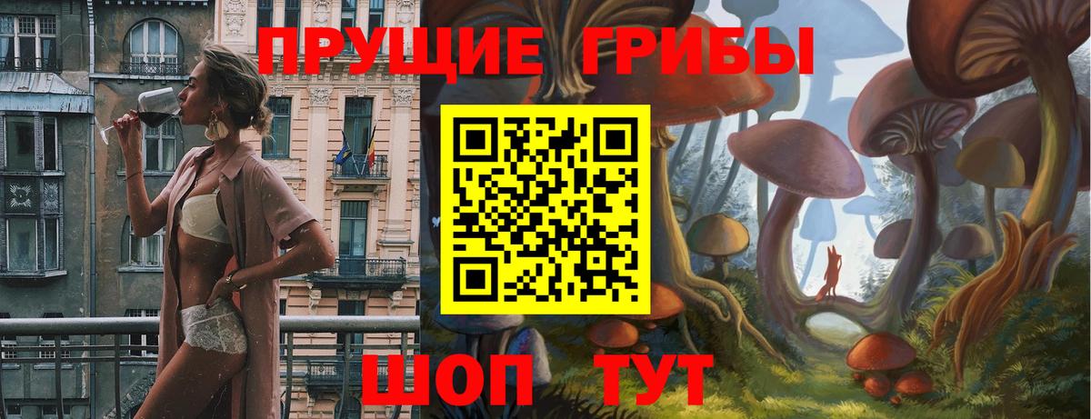Галлюциногенные грибы GOLDEN TEACHER Советская Гавань