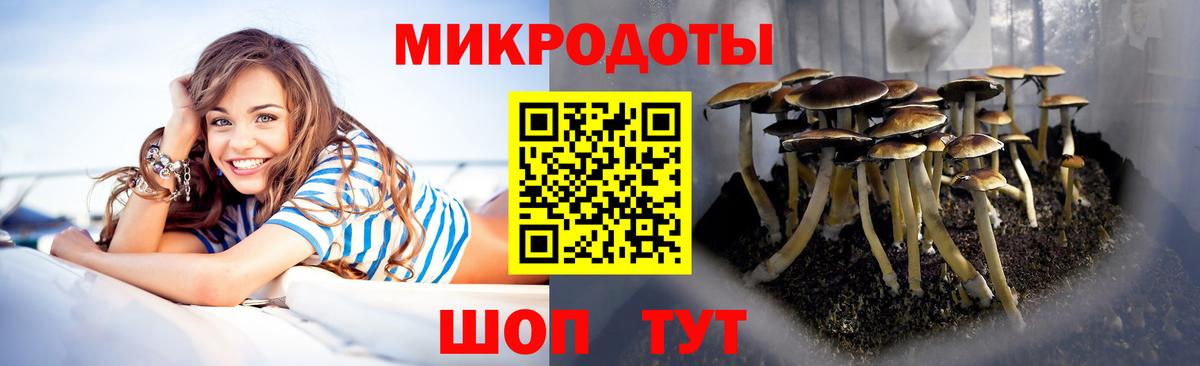 Советская Гавань  Галлюциногенные грибы мухоморы  Вход с VPN 